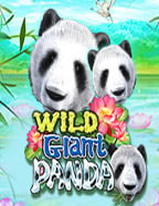 มันส์สุด! ทดลอง เล่น บา คา ร่า ฟรี 1000 ไม่ต้องลงทุน